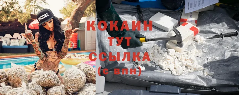 Cocaine 98%  где найти   ссылка на мегу сайт  Луза 