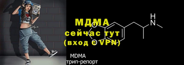 метадон Богданович